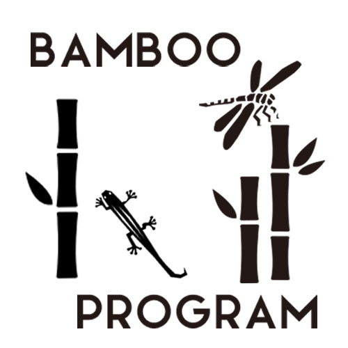 里地里山で体験するSDGs -bamboo program-